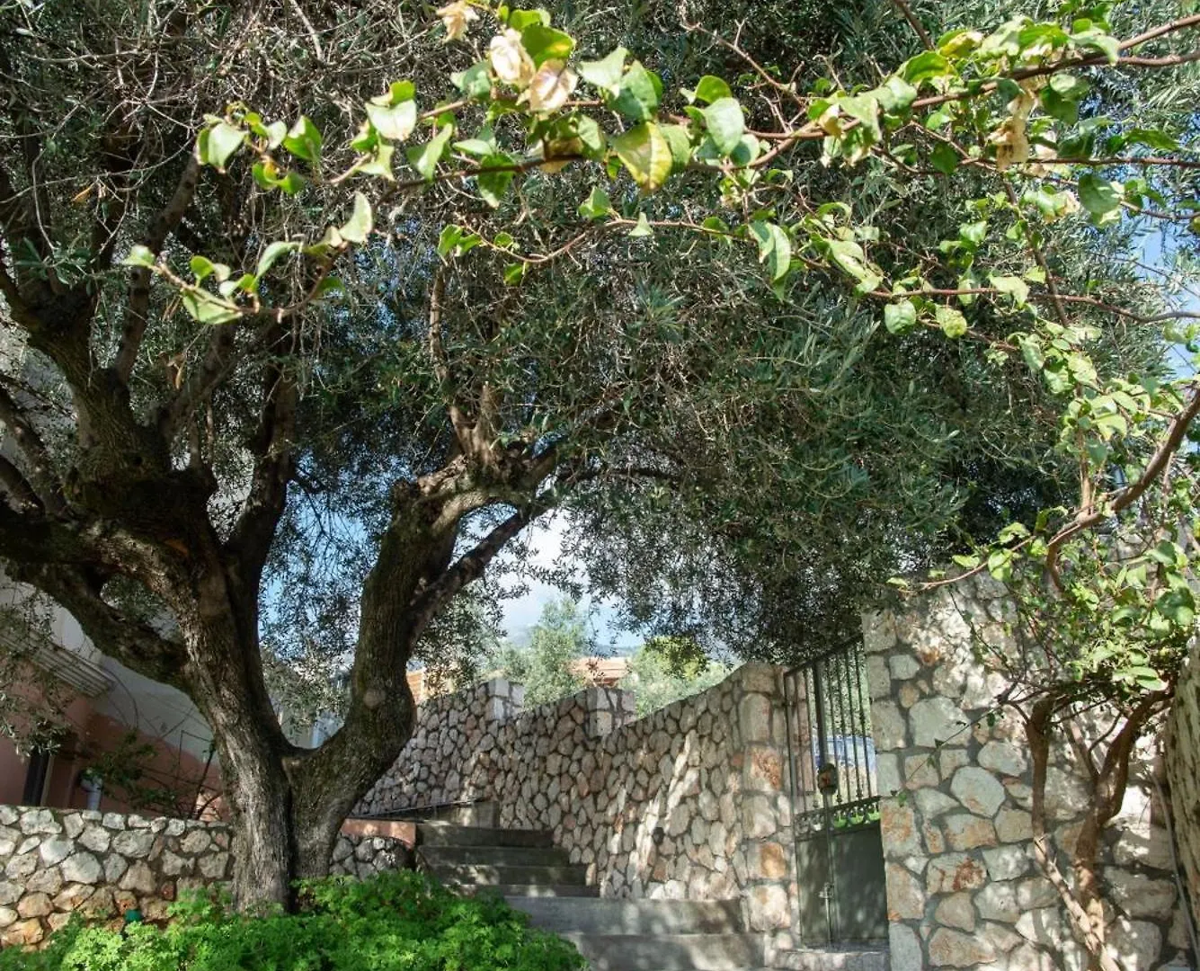 The Cerulean Villa - The Concord Of Blue And Green Mousata Grecia